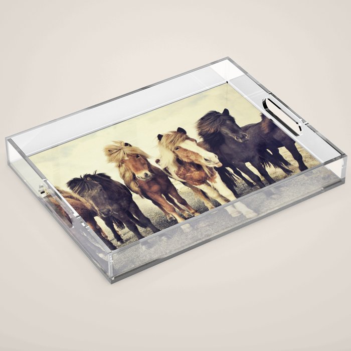 Horses Acrylic Tray Gallery Image 1