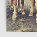 Horses Poster Gallery Image 3