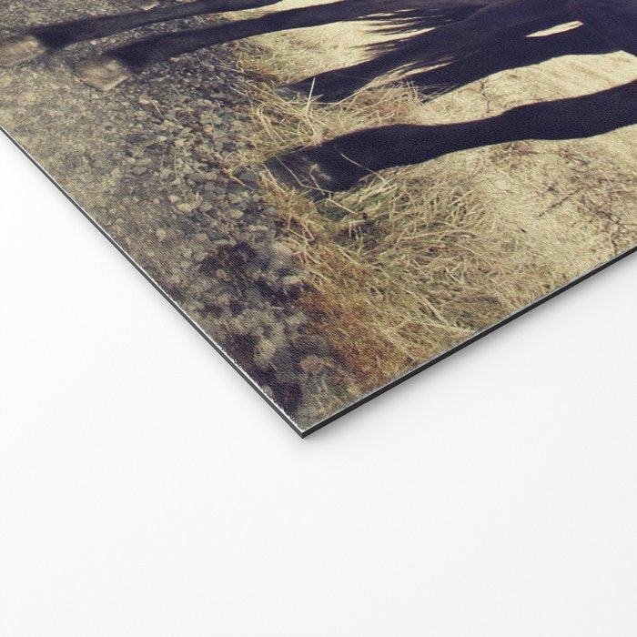 Horses Welcome Mat Gallery Image 2