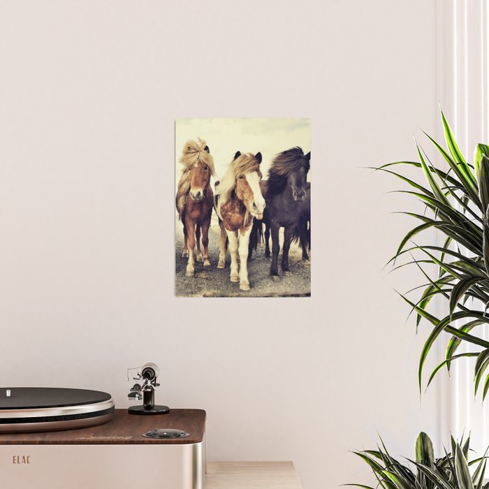 Horses Poster Gallery Image 2