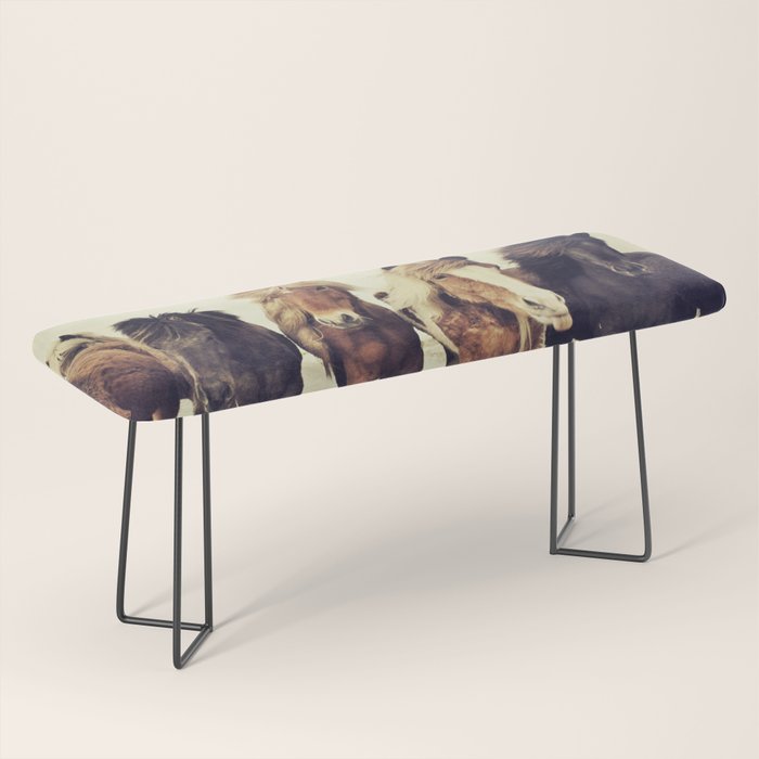 Horses Bench Gallery Image 1
