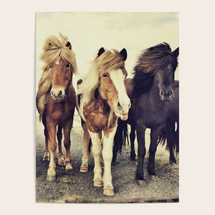 Horses Poster Gallery Image 4