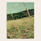 Windswept Poster Gallery Image 4