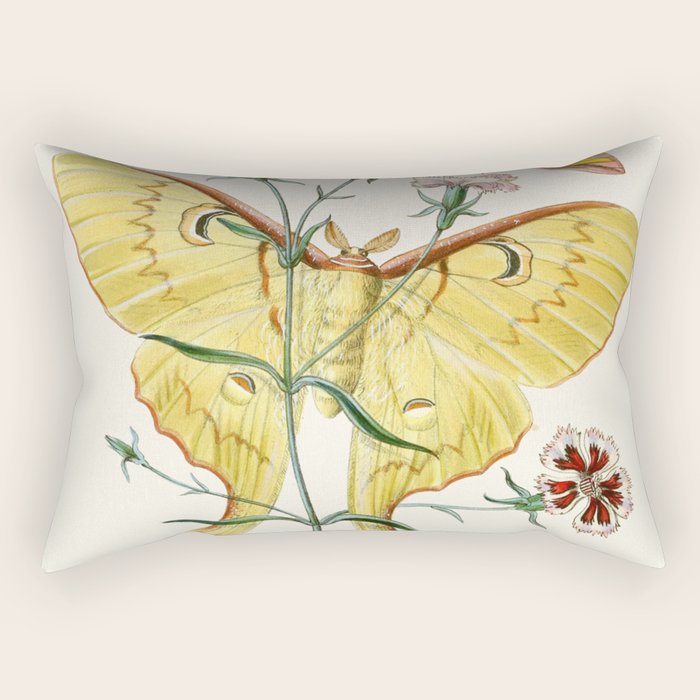 Vintage Yellow Moth with Wildflowers Natural History Insect Design Rectangular Pillow Gallery Image 2