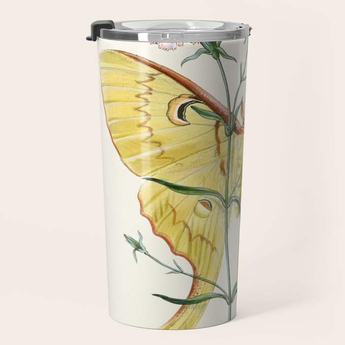 Vintage Yellow Moth with Wildflowers Natural History Insect Design Travel Mug Gallery Image 3
