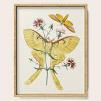 Vintage Yellow Moth with Wildflowers Natural History Insect Design Serving Tray Gallery Image 1