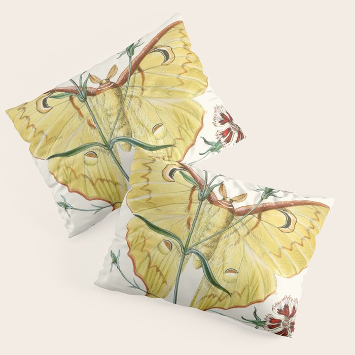 Vintage Yellow Moth with Wildflowers Natural History Insect Design Pillow Sham Gallery Image 3