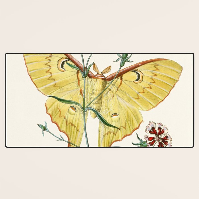 Vintage Yellow Moth with Wildflowers Natural History Insect Design Desk Mat Gallery Image 3