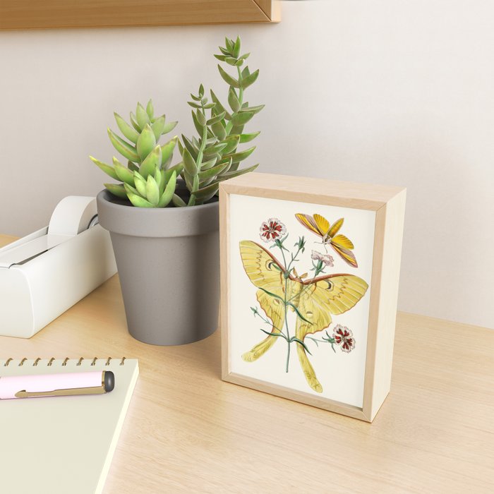 Vintage Yellow Moth with Wildflowers Natural History Insect Design Mini Art Print Gallery Image 2