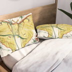 Vintage Yellow Moth with Wildflowers Natural History Insect Design Pillow Sham Gallery Image 2