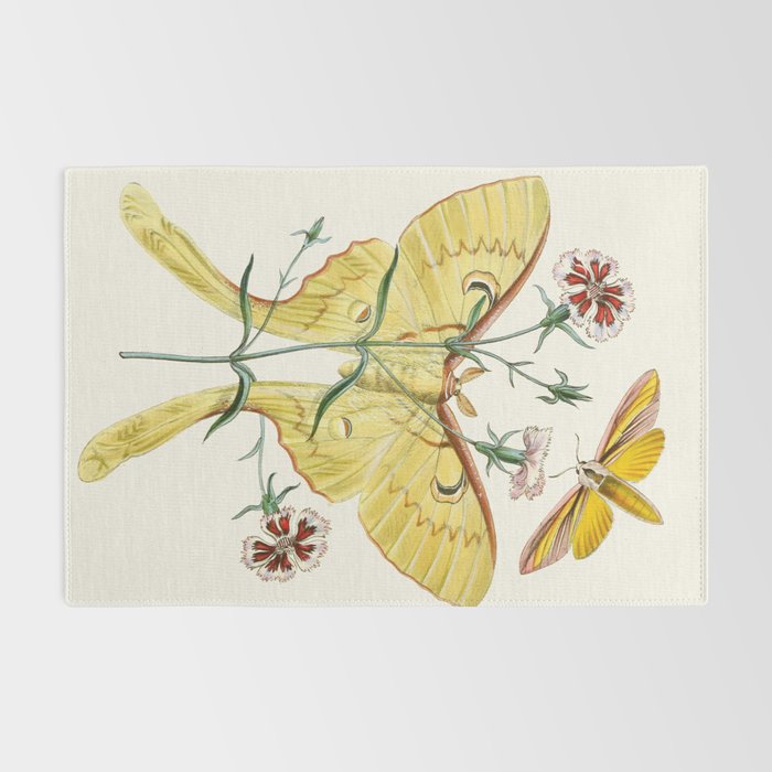 Vintage Yellow Moth with Wildflowers Natural History Insect Design Rug Gallery Image 2