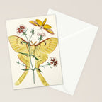 Vintage Yellow Moth with Wildflowers Natural History Insect Design Stationery Card Gallery Image 2