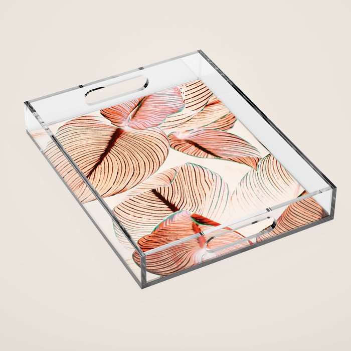 Unbridled - fall Acrylic Tray Gallery Image 1