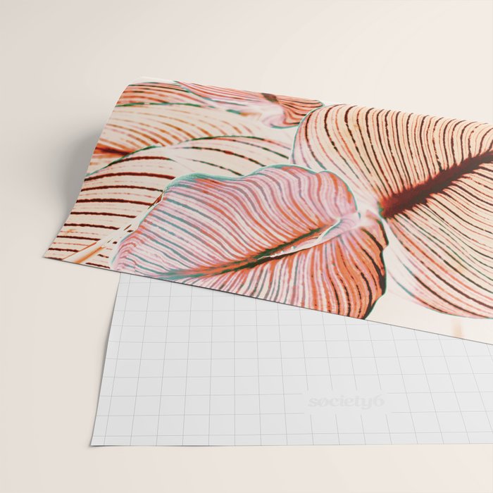 Unbridled - fall Wrapping Paper Gallery Image 2