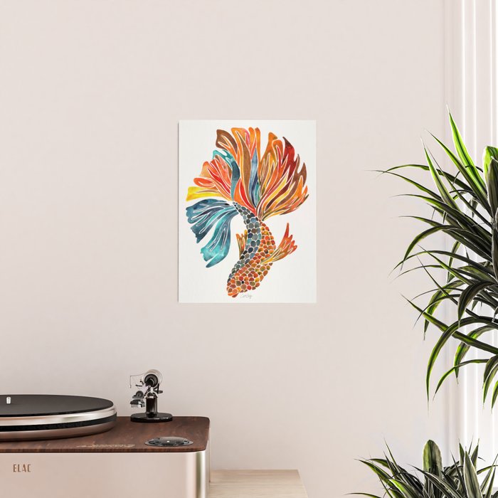 Siamese Fighting Fish - Orange & Blue Poster Gallery Image 2