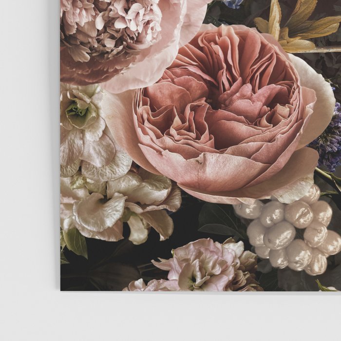 Vintage & Shabby Chic- Real Roses And Peonies Lush Midnight Flowers Botanical Garden Poster Gallery Image 3