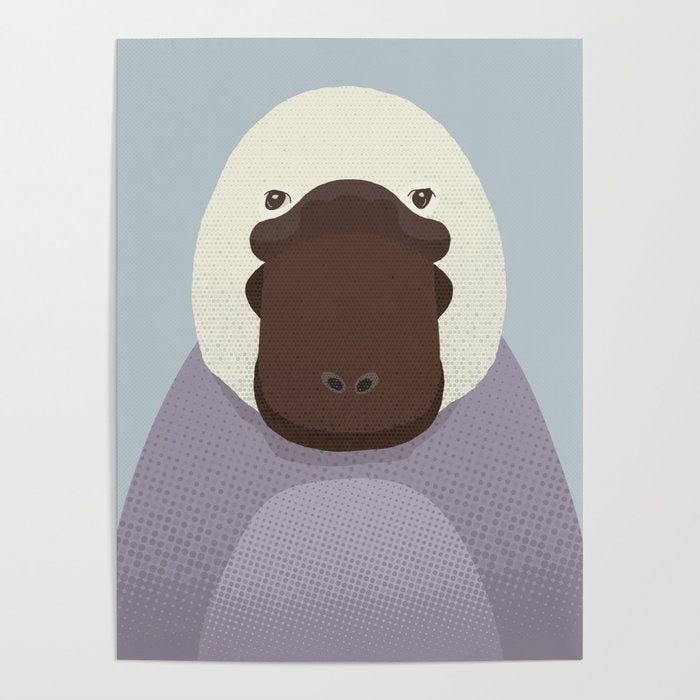 Whimsy Platypus, Animal Portrait Poster Gallery Image 4