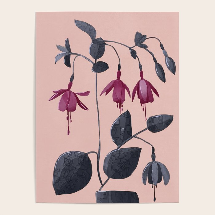 Fuchsia Botanical Drawing Poster Gallery Image 4