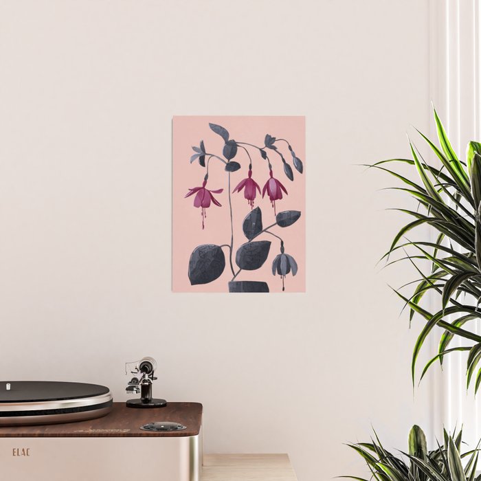 Fuchsia Botanical Drawing Poster Gallery Image 2