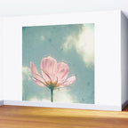 Pink Cosmos Wall Mural Gallery Image 2