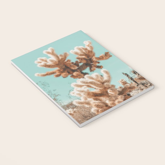 Cholla Cactus - Joshua Tree Desert Landscape, Nature Photography Notebook Gallery Image 3