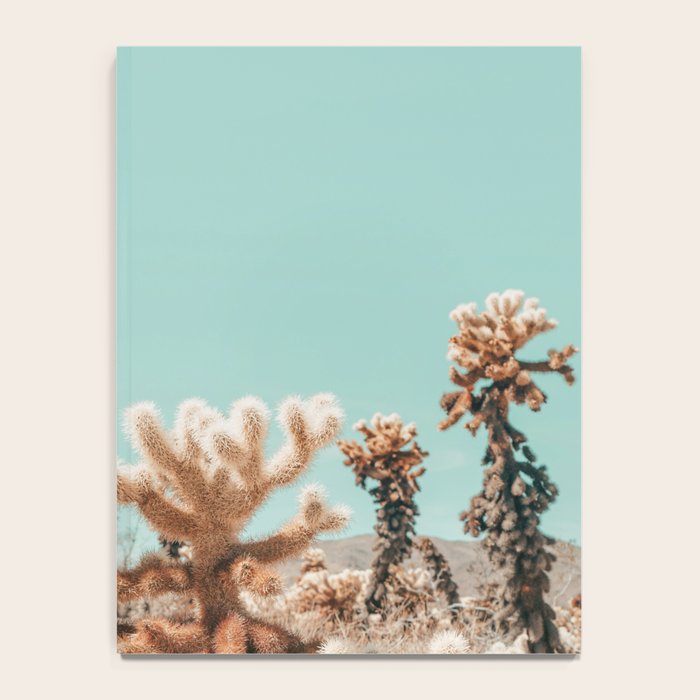 Cholla Cactus - Joshua Tree Desert Landscape, Nature Photography Notebook Gallery Image 4