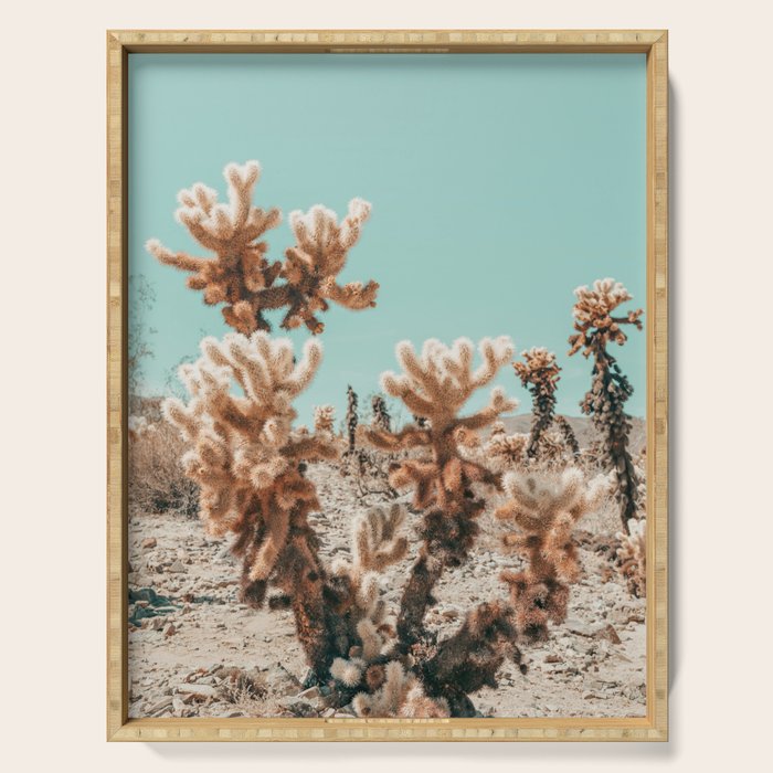 Cholla Cactus - Joshua Tree Desert Landscape, Nature Photography Serving Tray Gallery Image 1
