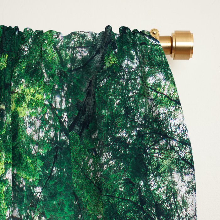 Lost In The Forest - Redwood National Park California Window Curtain Gallery Image 2