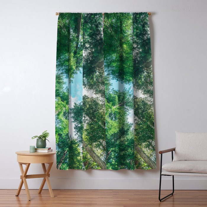 Lost In The Forest - Redwood National Park California Window Curtain Gallery Image 1