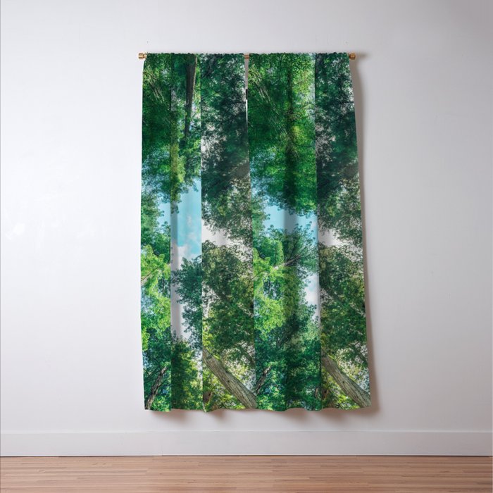 Lost In The Forest - Redwood National Park California Window Curtain Gallery Image 3