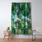 Lost In The Forest - Redwood National Park California Window Curtain Gallery Image 5