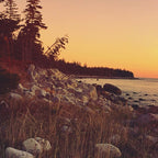 Sunset By the Sea Coffee Mug Gallery Image 2