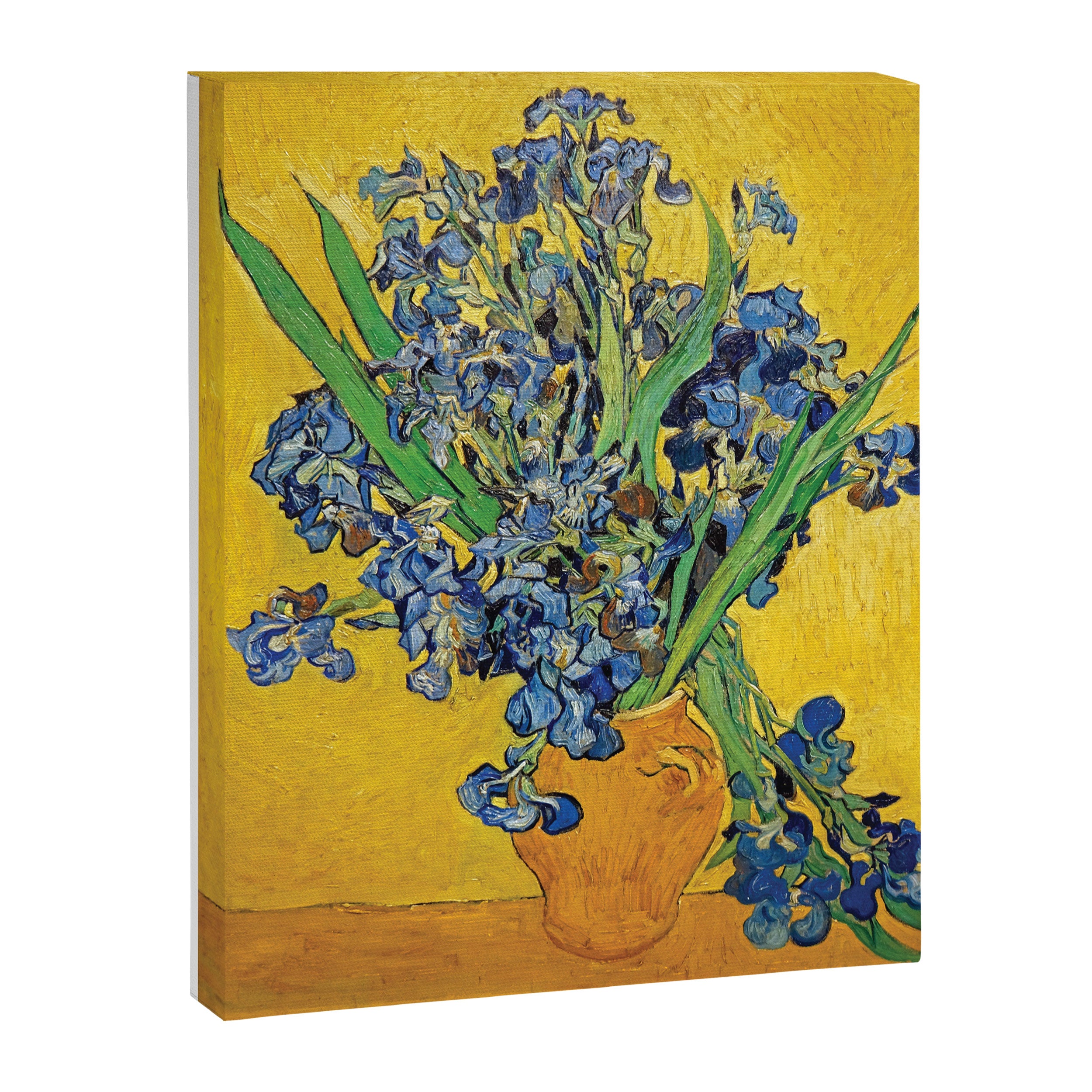 Irises 3 by Vincent Van Gogh Canvas Print Gallery Image 6