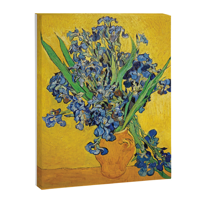 Irises 3 by Vincent Van Gogh Canvas Print Gallery Image 1