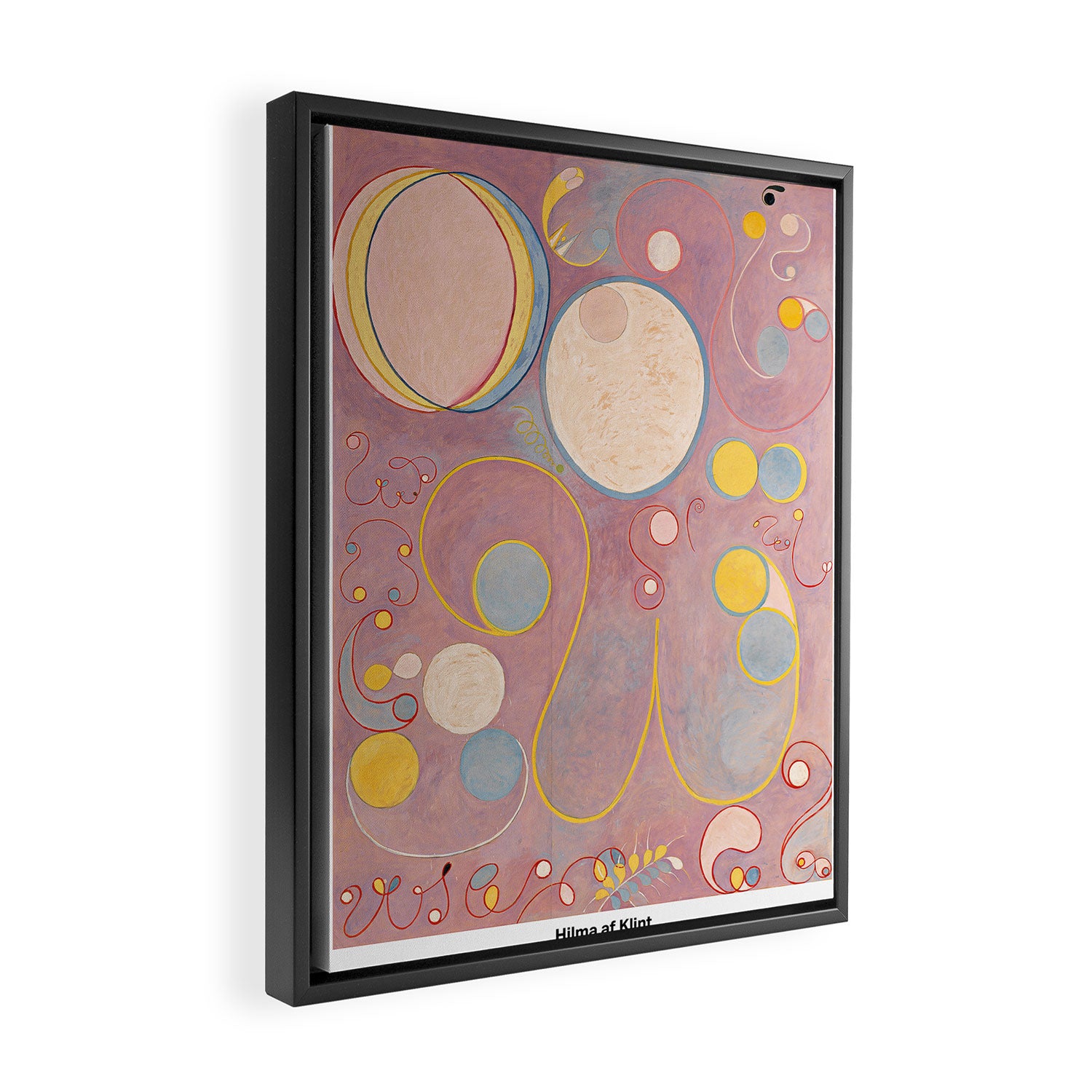 The Ten Largest, No 8 by Hilma af Klint Framed Canvas Print Gallery Image 2