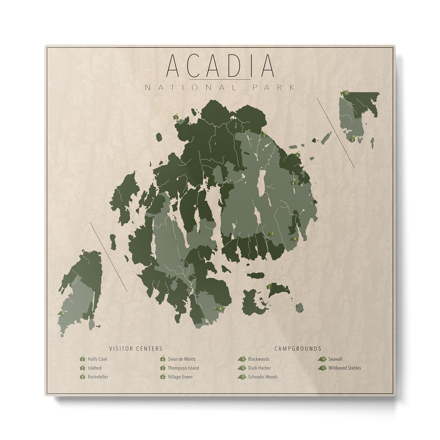 Acadia Metal Print Gallery Image 2