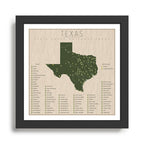 Texas Parks Framed Art Print Gallery Image 1