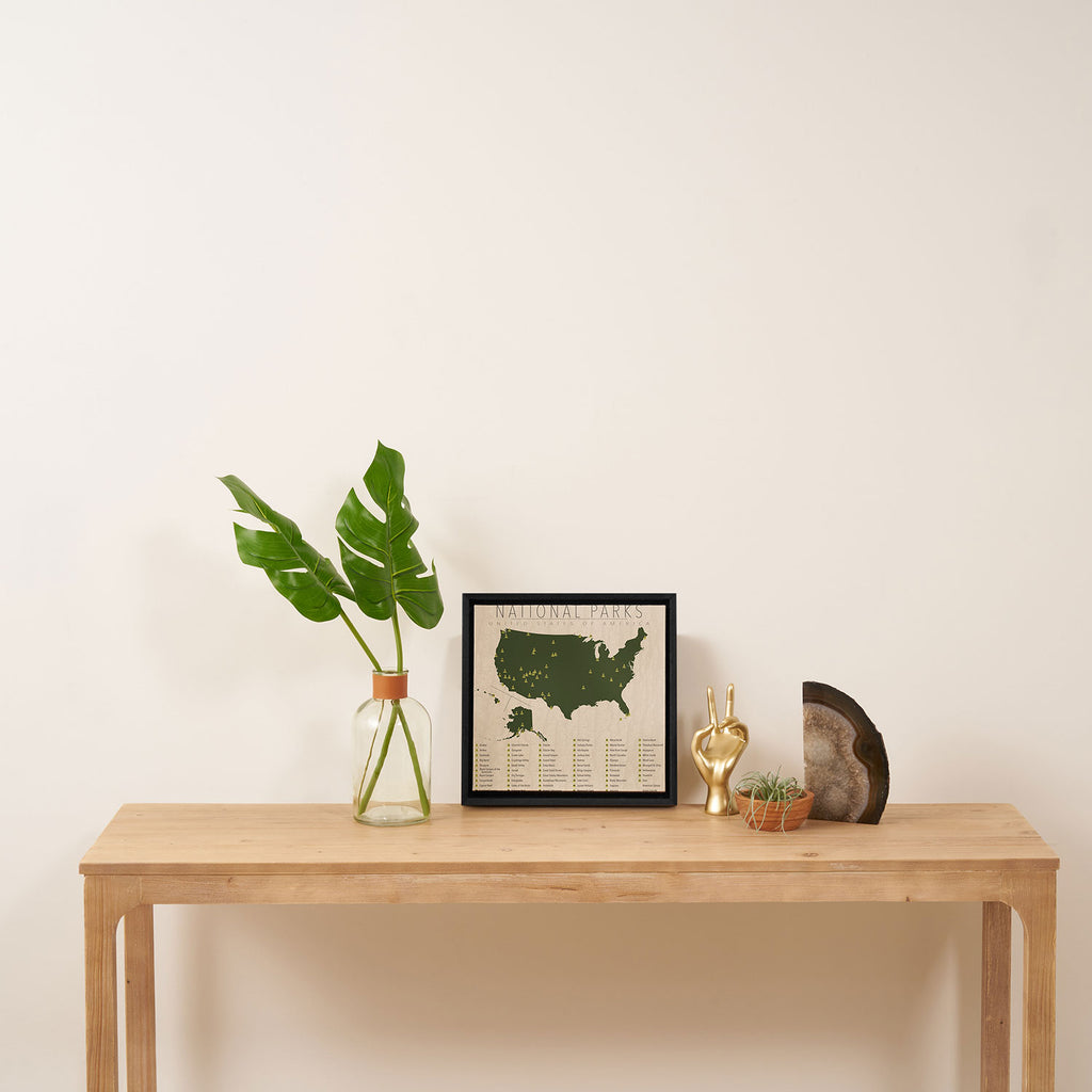 US National Parks Framed Canvas Print Gallery Image 3