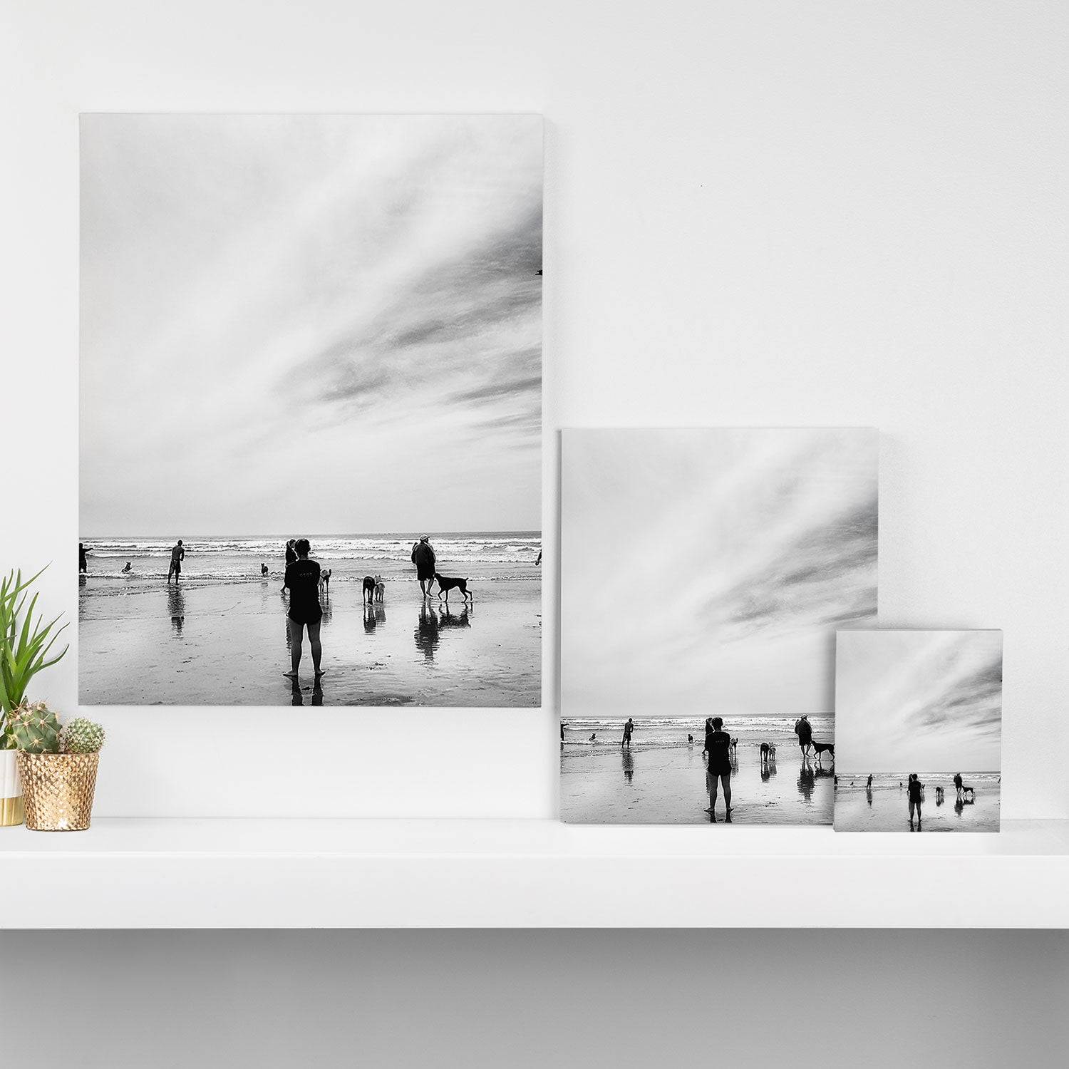 Dog Beach Canvas Print Gallery Image 3