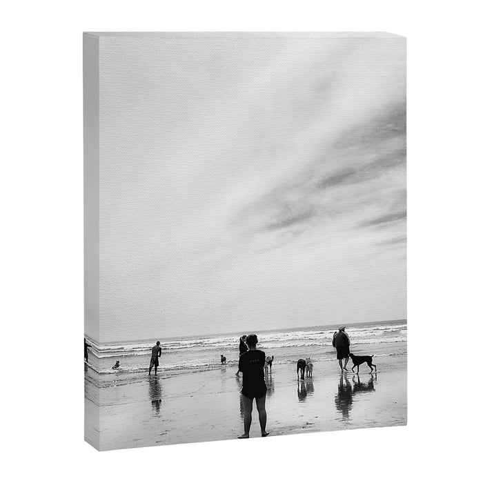 Dog Beach Canvas Print Gallery Image 1