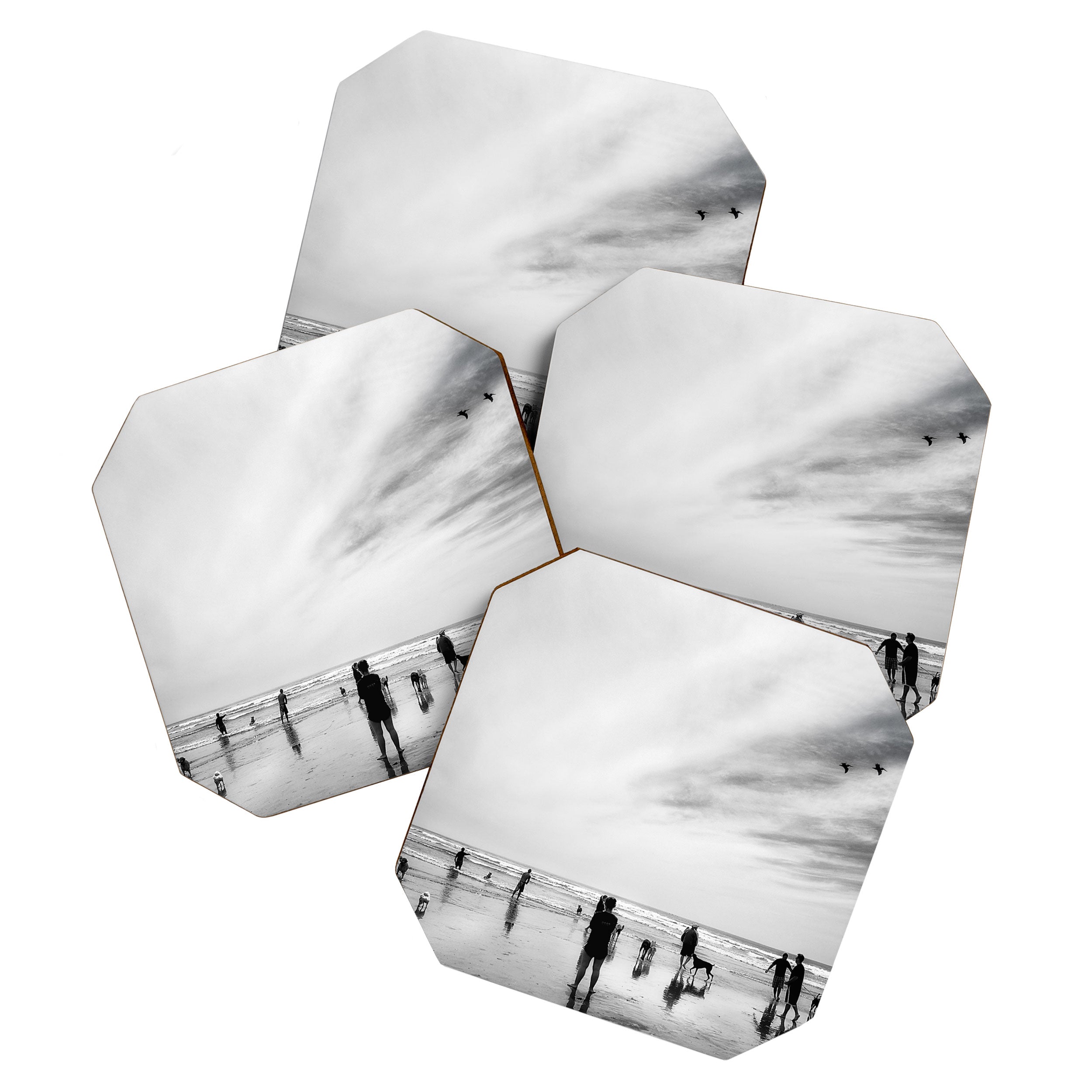 Dog Beach Coaster Gallery Image 1