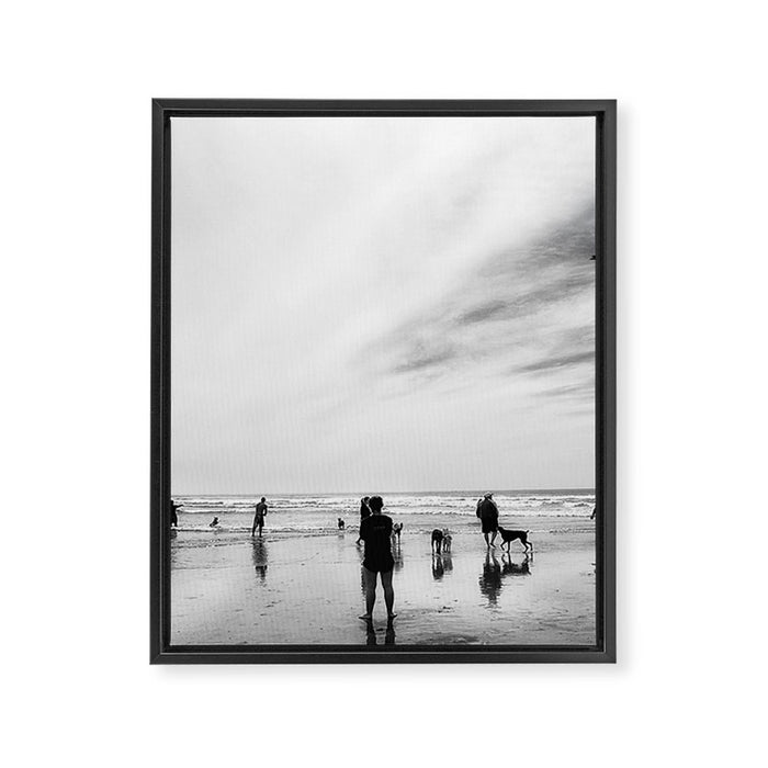 Dog Beach Framed Canvas Print Gallery Image 1