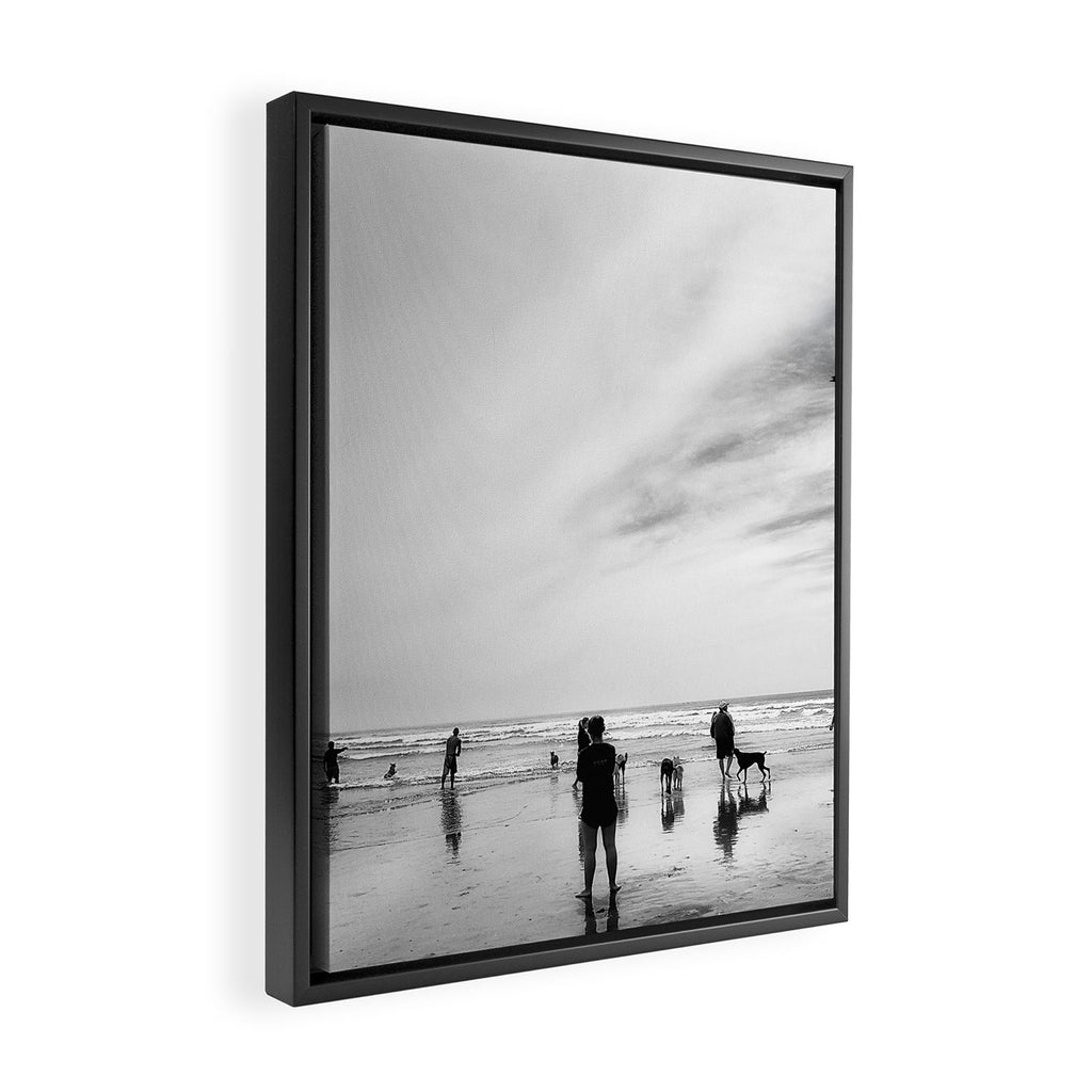 Dog Beach Framed Canvas Print Gallery Image 2