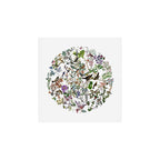 bird menagerie Art Print Gallery Image 1