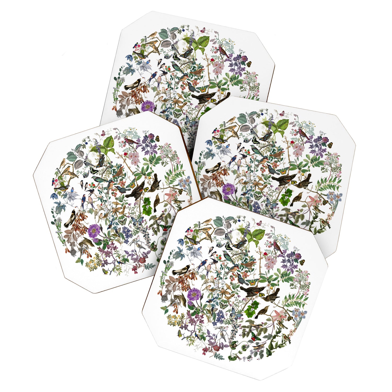 bird menagerie Coaster Gallery Image 1