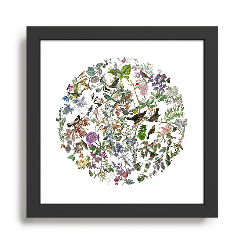 bird menagerie Framed Art Print Gallery Image 1
