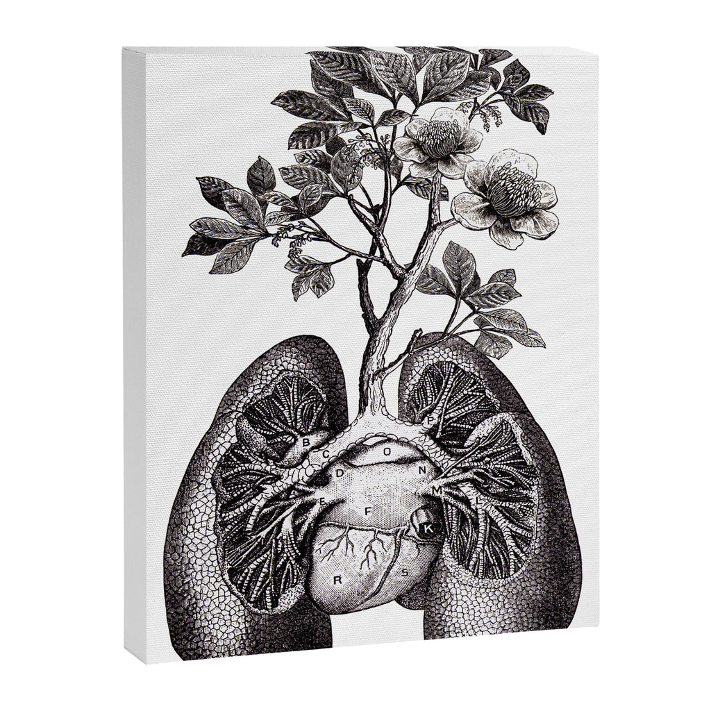 Flourishing Lungs Canvas Print Gallery Image 6