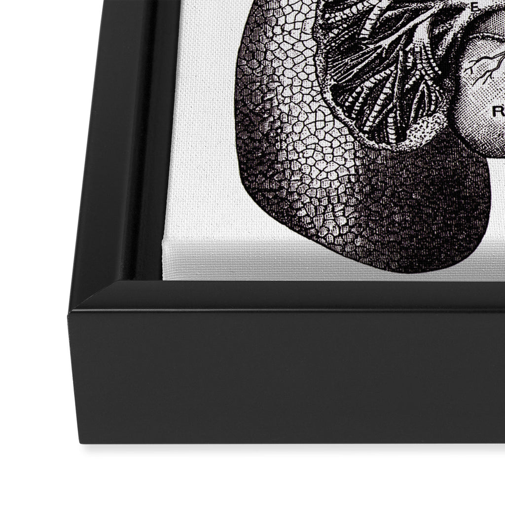 Flourishing Lungs Framed Canvas Print Gallery Image 3