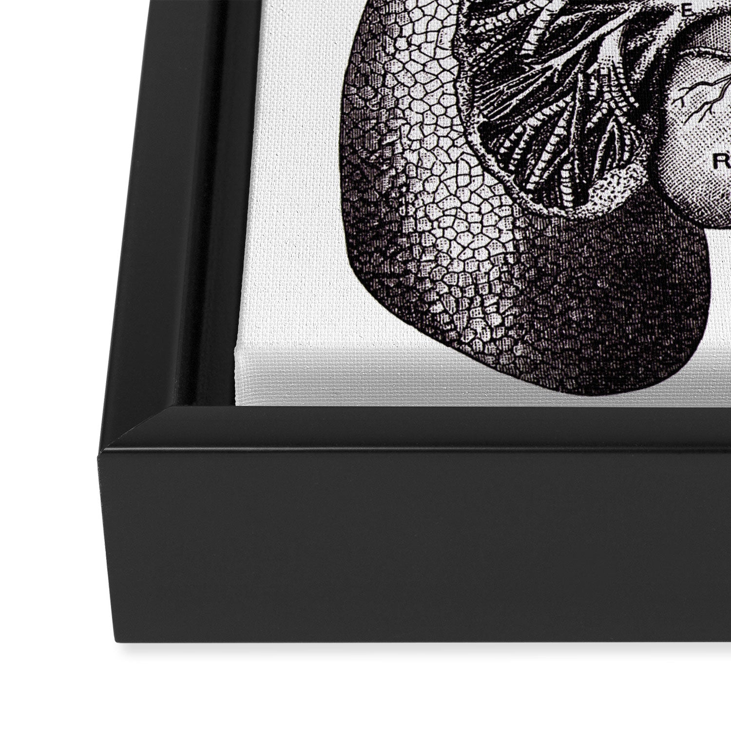Flourishing Lungs Framed Canvas Print Gallery Image 3