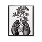 Flourishing Lungs Framed Canvas Print Gallery Image 6